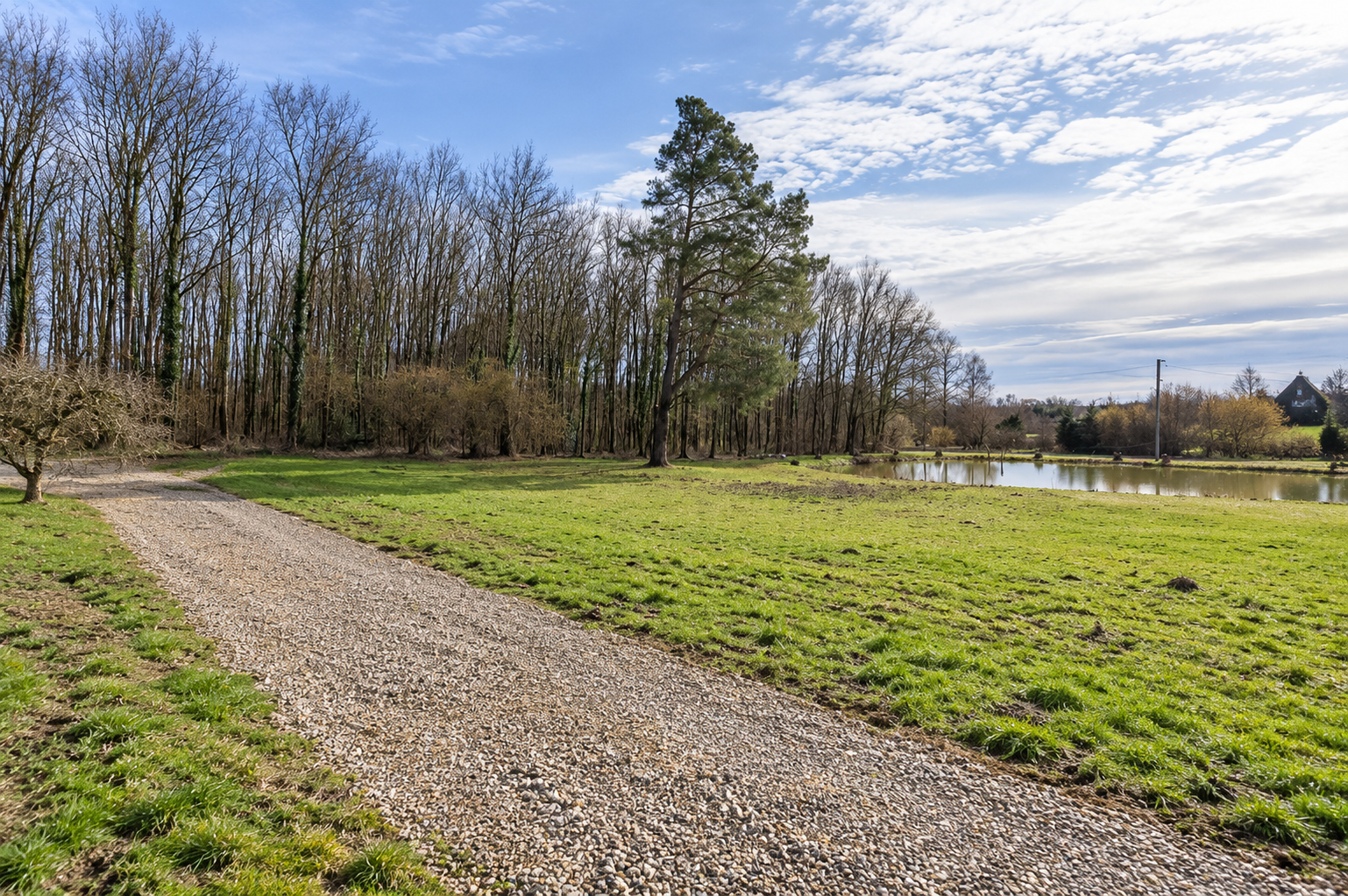 Terrain constructible